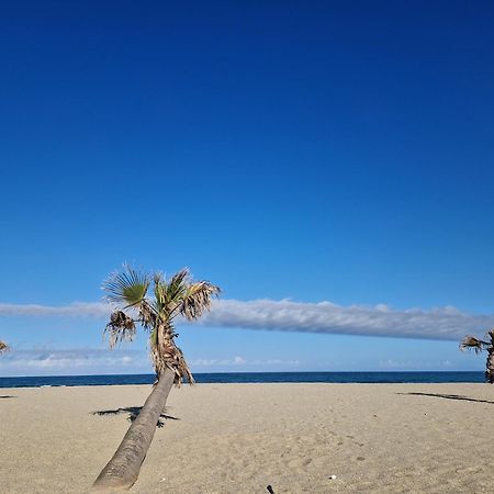 Appartement Front De Mer Le Barcarès Екстериор снимка