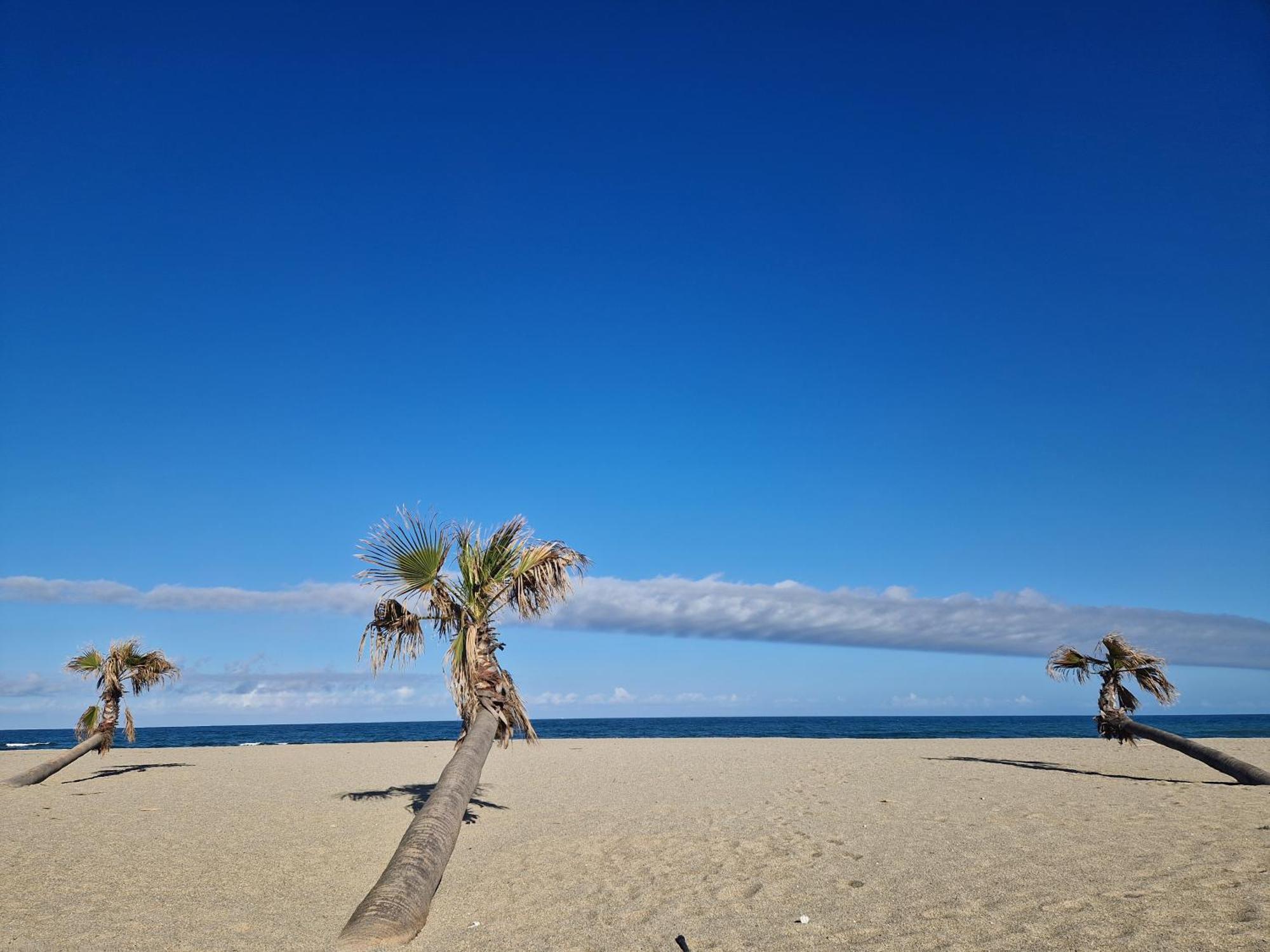 Appartement Front De Mer Le Barcarès Екстериор снимка